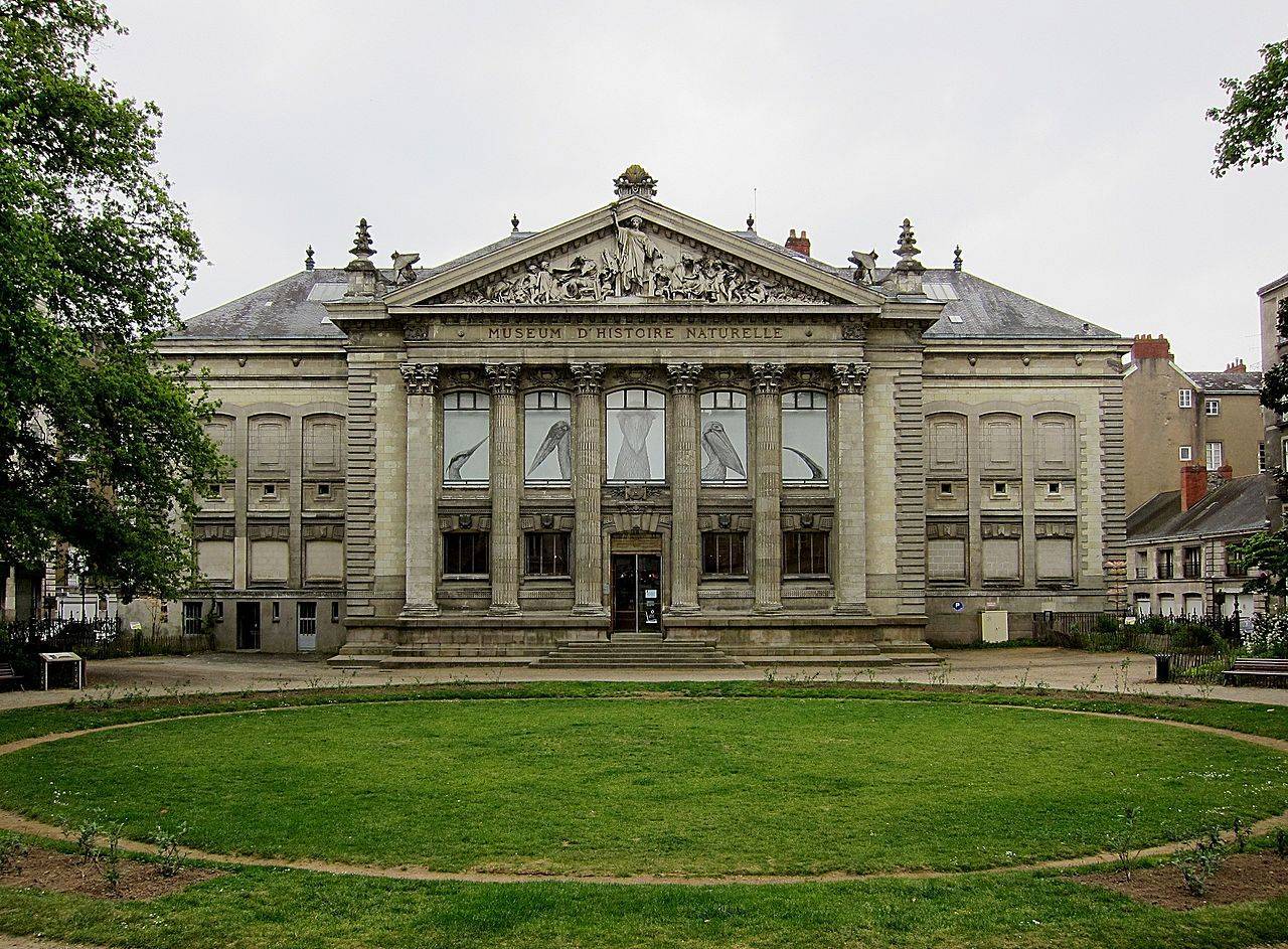 Nantes Natural History Museum © Velvet - CC BY-SA 3.0