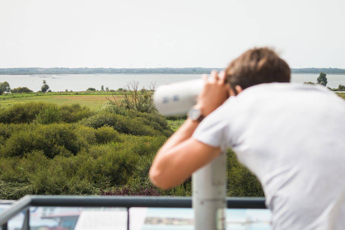 Visitez le Lac de Grand-Lieu | © J. JEHANIN Visitez le Lac de Grand-Lieu | © J. JEHANIN