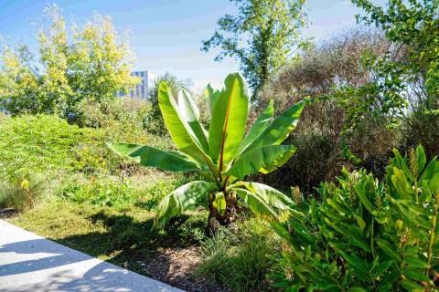 Le Jardin Extraordinaire à Nantes | © François de Dijon - CC BY-SA 4.0