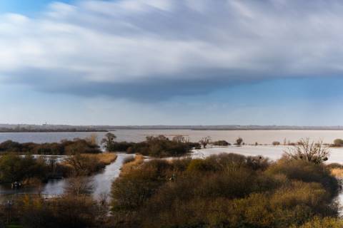 Visit the Lake of Grand-Lieu | © J. JEHANIN